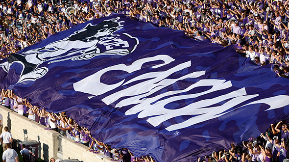 Kansas State University Mascot WildCats
